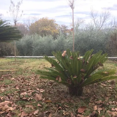 Casa Calicanto * Corropoli