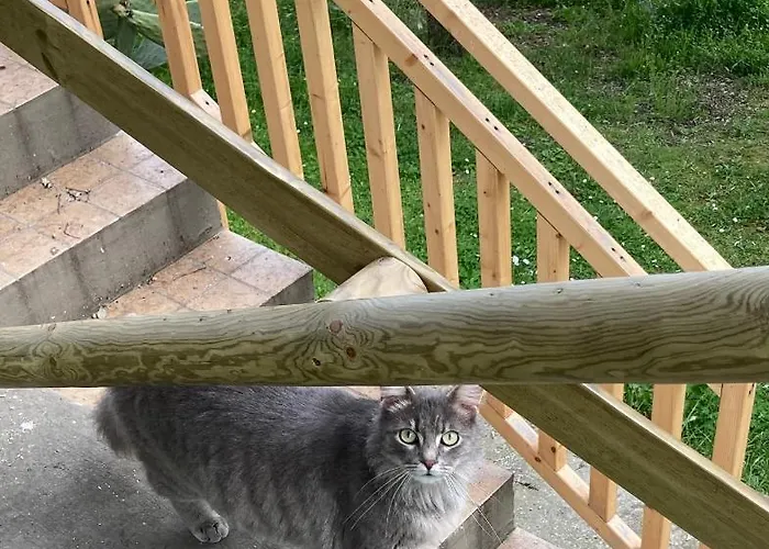 Casa Calicanto Casa vacanze