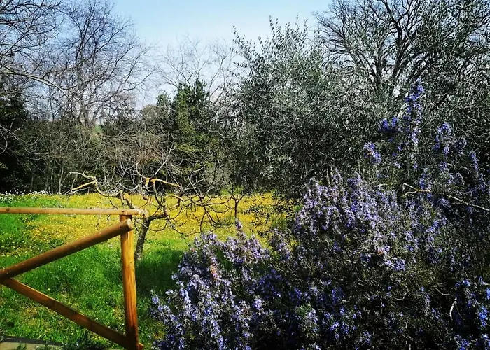 Casa Calicanto * Corropoli